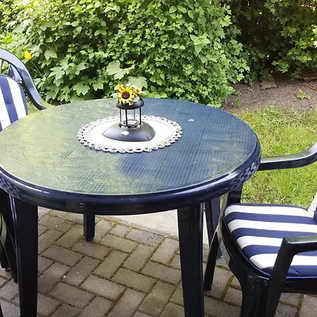 Zaunkönig - 59-02 * Ostseebad Kühlungsborn